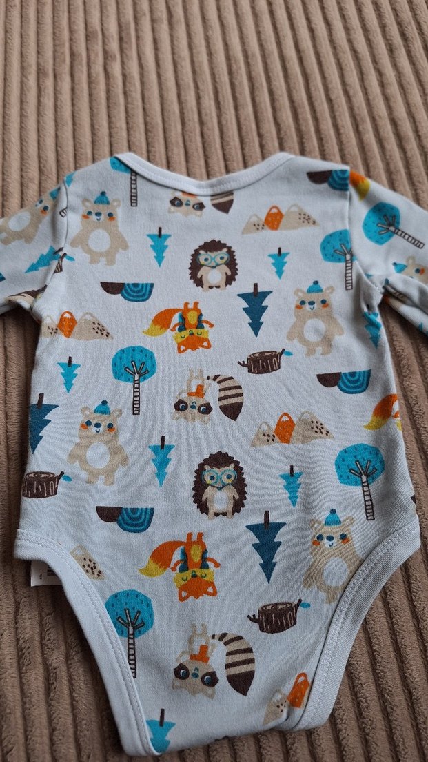 Uzun kollu zıbın - Görsel 4