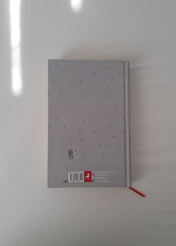 Prensesim - Hyun-kyung Sohn - Görsel 7