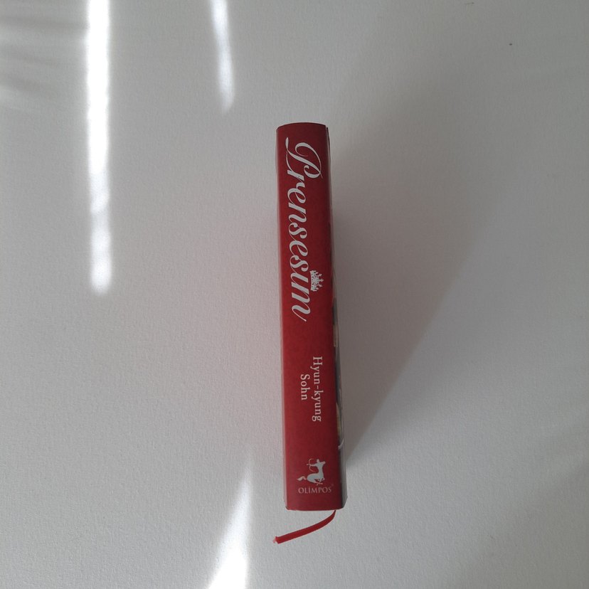 Prensesim - Hyun-kyung Sohn - Görsel 3