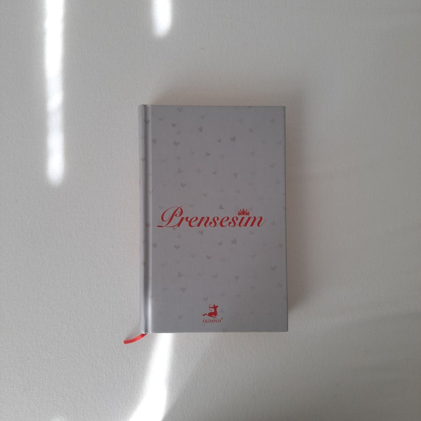 Prensesim - Hyun-kyung Sohn - Görsel 5