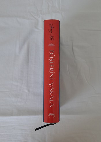 Düşlerini Yakala - Stacey Lee - Görsel 3