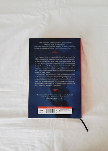 Düşlerini Yakala - Stacey Lee - Görsel 2