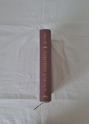 Düşlerini Yakala - Stacey Lee - Görsel 5