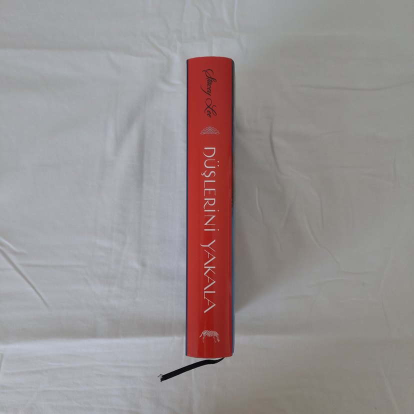 Düşlerini Yakala - Stacey Lee - Görsel 3