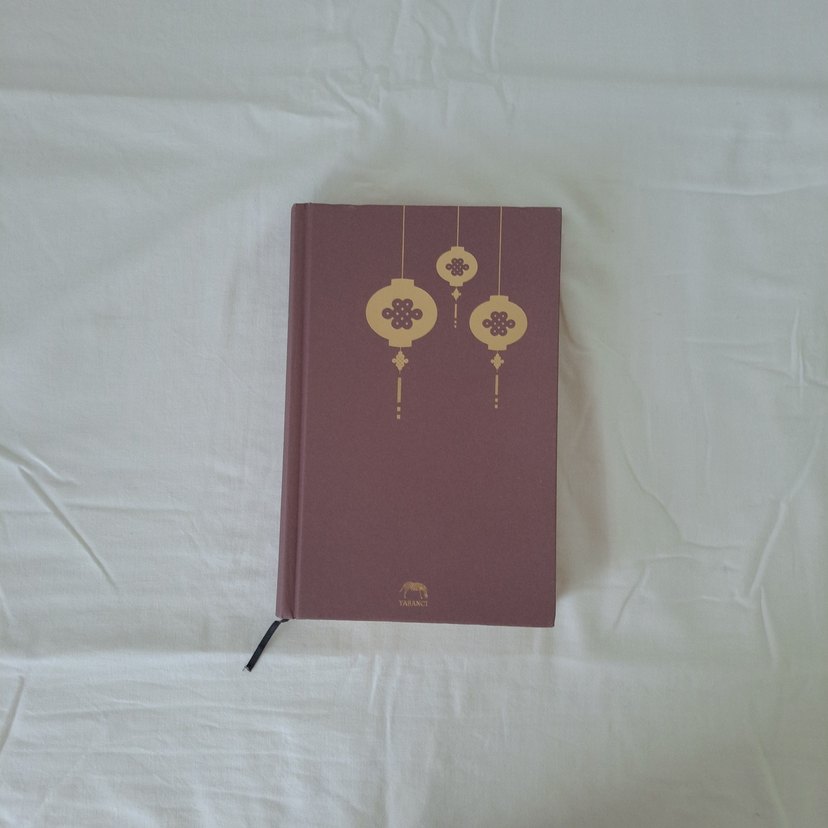 Düşlerini Yakala - Stacey Lee - Görsel 4