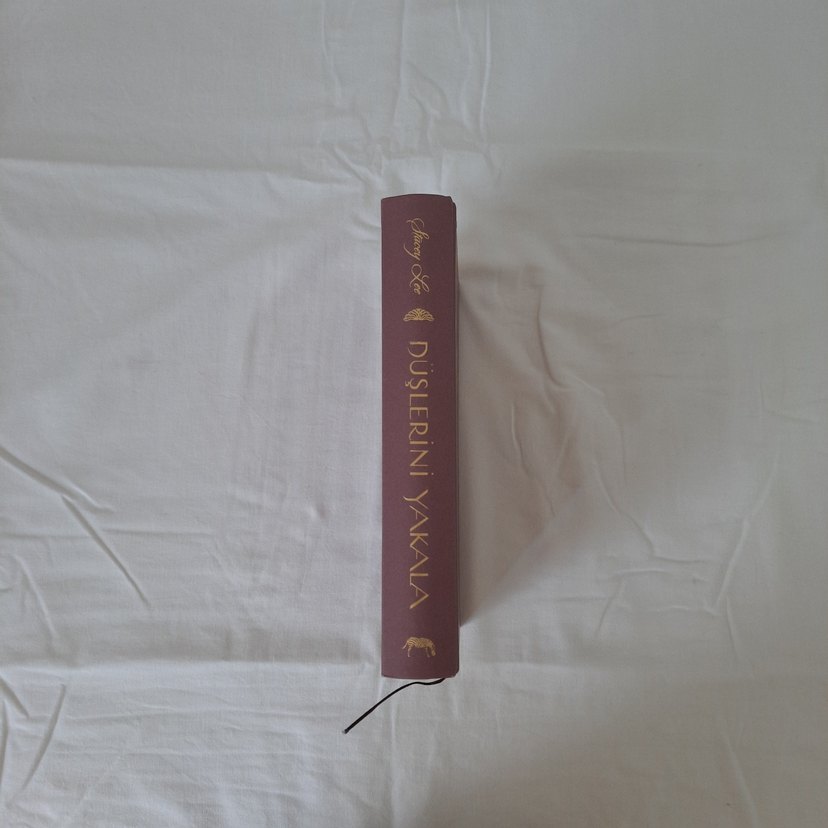 Düşlerini Yakala - Stacey Lee - Görsel 5