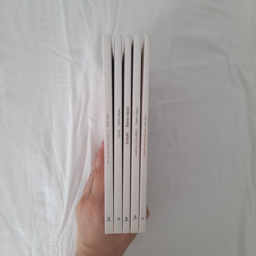 Stefan Zweig kutulu set - Görsel 3