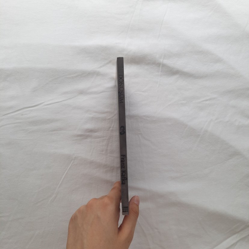 Dönüşüm - Franz Kafka - Görsel 2