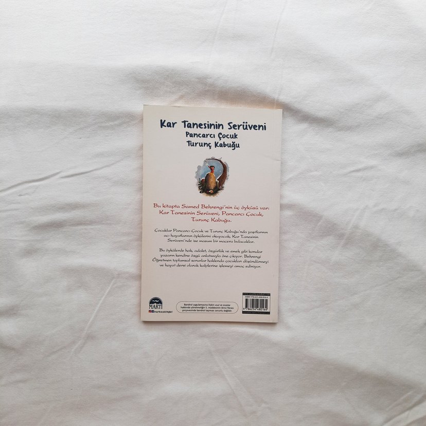 Kar Tanesinin Serüveni - Samed Behrengi - Görsel 3