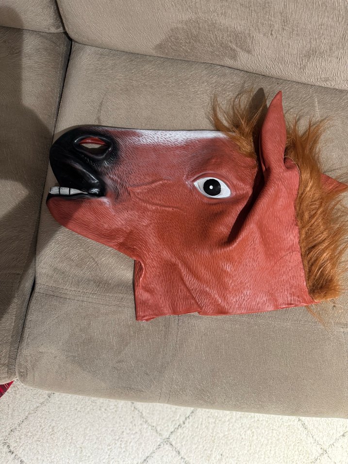 At Figürlü Maske - Görsel 2