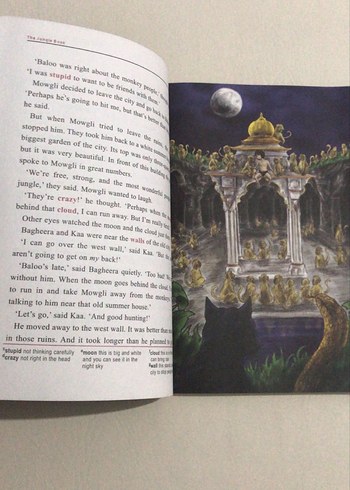 The Jungle Book - Level 1 Hikaye Kitabı - Görsel 4