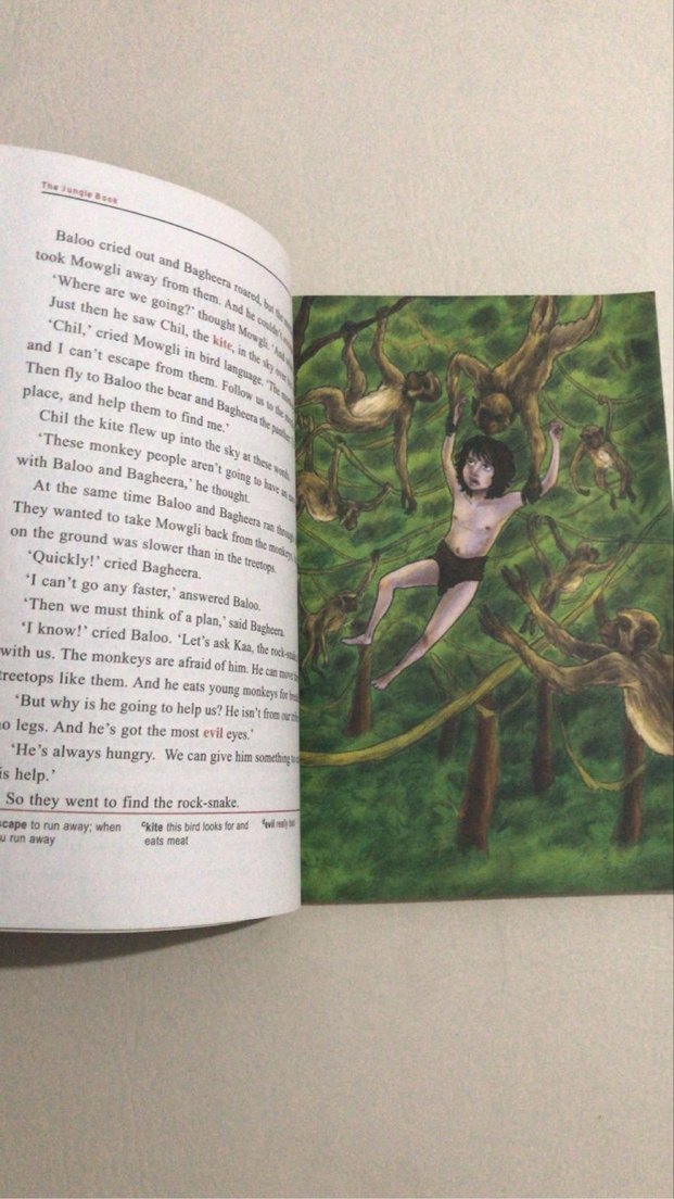 The Jungle Book - Level 1 Hikaye Kitabı - Görsel 5