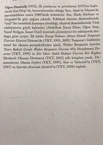 Sinemasının Aynasında Türkiye - Oğuz Demiralp - Görsel 3