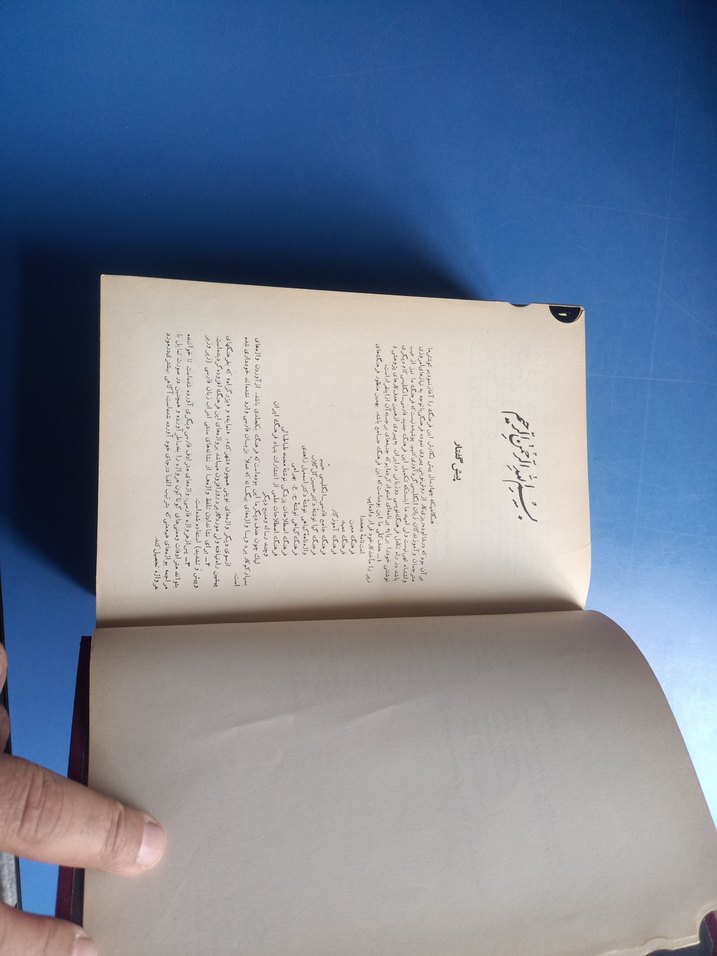 Persian-English Sözlük Tek Cilt - Görsel 2