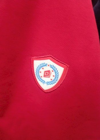 Kırmızı Fermuarlı Erkek Çocuk Sweatshirt marka temsili - Görsel 3