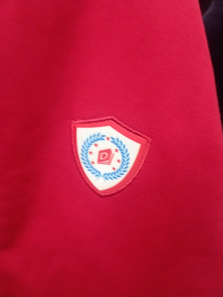 Kırmızı Fermuarlı Erkek Çocuk Sweatshirt marka temsili - Görsel 3