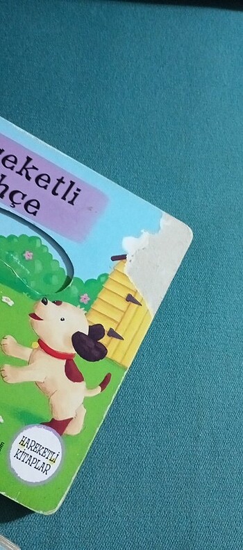 Hareketli çocuk kitabı - Görsel 5