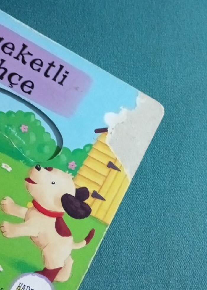 Hareketli çocuk kitabı - Görsel 5