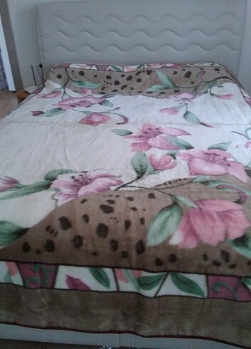 PELUS BATTANİYE - Görsel 2