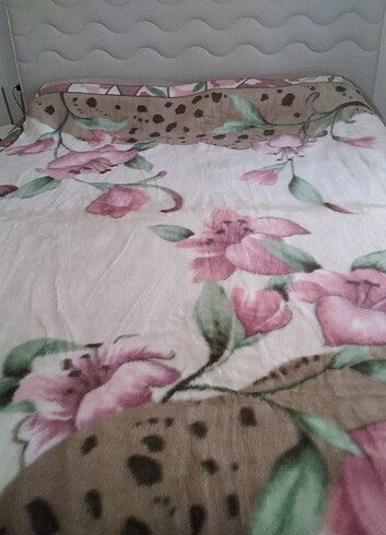 PELUS BATTANİYE - Görsel 3