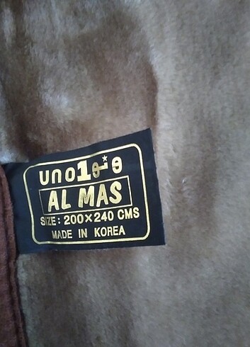 PELUS BATTANİYE - Görsel 4