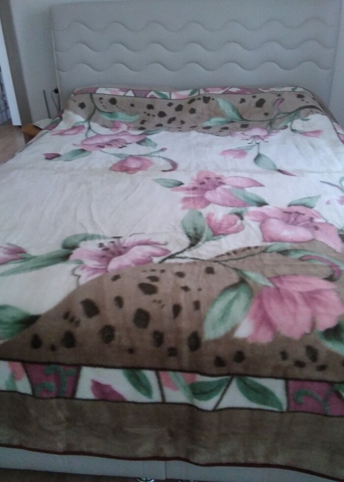 PELUS BATTANİYE - Görsel 2