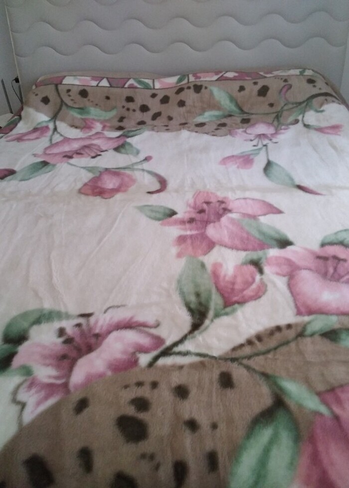 PELUS BATTANİYE - Görsel 3