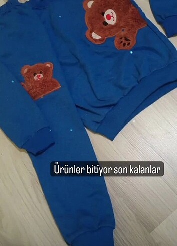 Ayicikli takim
