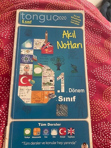 Tonguç Akıl notları