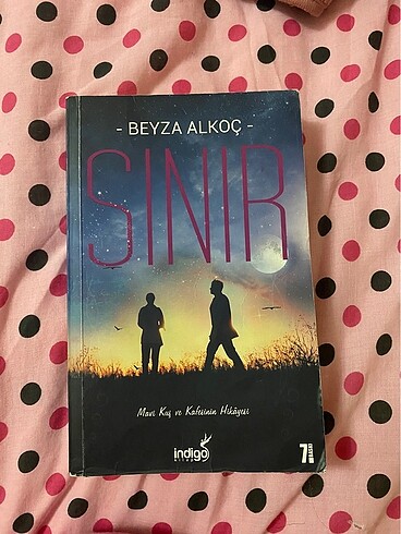 SINIR BEYZA ALKOC