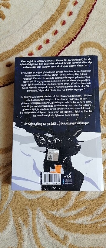 Beyza Alkoç-Kar Küresi