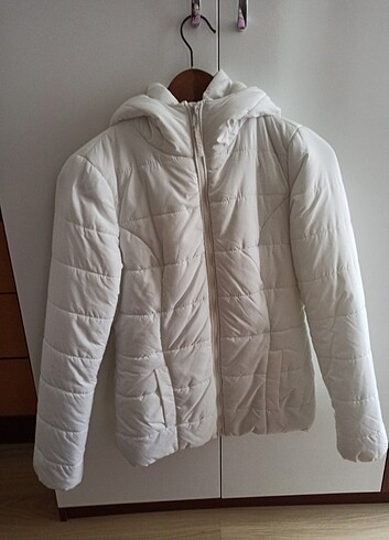 Koton mont