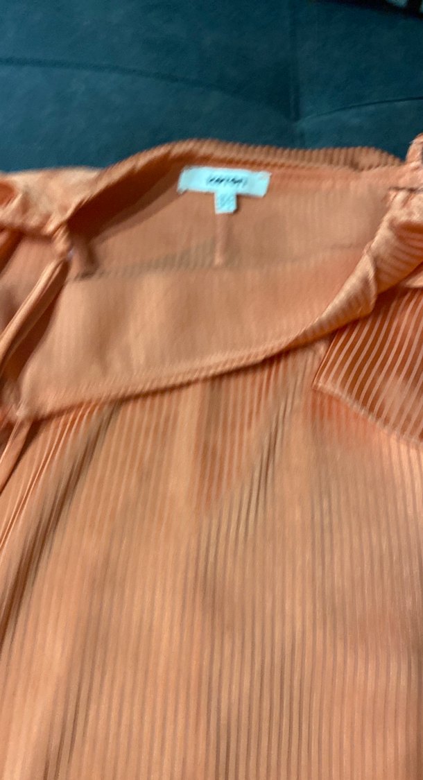 Piliseli Bej Kadın Bluz - Görsel 3