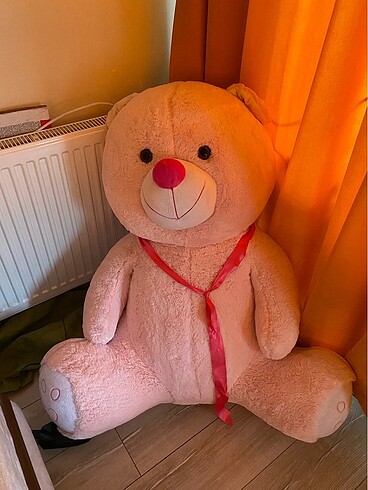  Pembe ayıcık