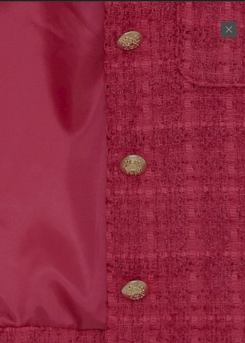 pembe düğmeli Kadın Ceket - Görsel 3