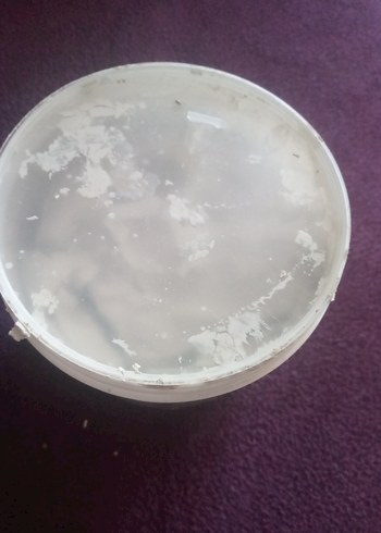 Beralife Bitki Özlü Kil Maskesi - Görsel 7