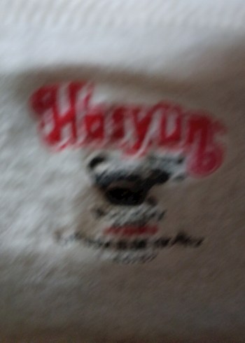 HASYÜN İÇLİK - Görsel 6