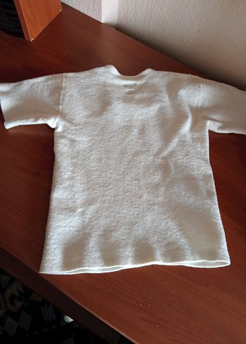 HASYÜN İÇLİK - Görsel 3