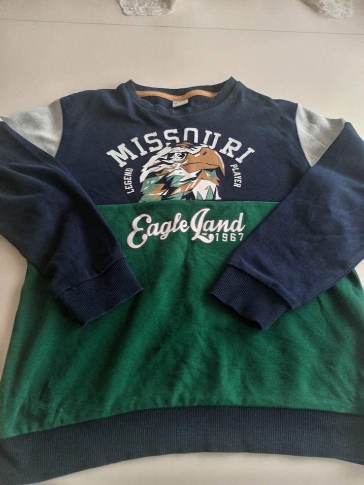 Erkek Çocuk Yeşil Baskılı Sweatshirt - Görsel 3