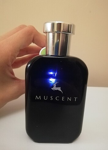 Muscent 