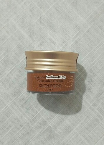 Beden Renk Skinfood Kapatıcı No 2