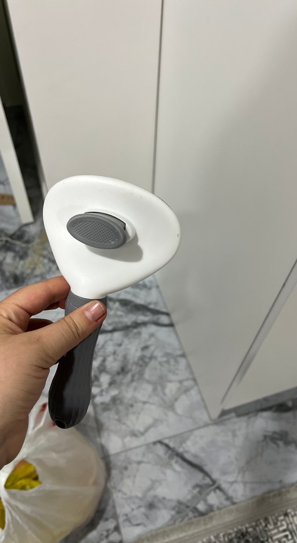 Gri Kedi Tüy Fırçası - Görsel 3