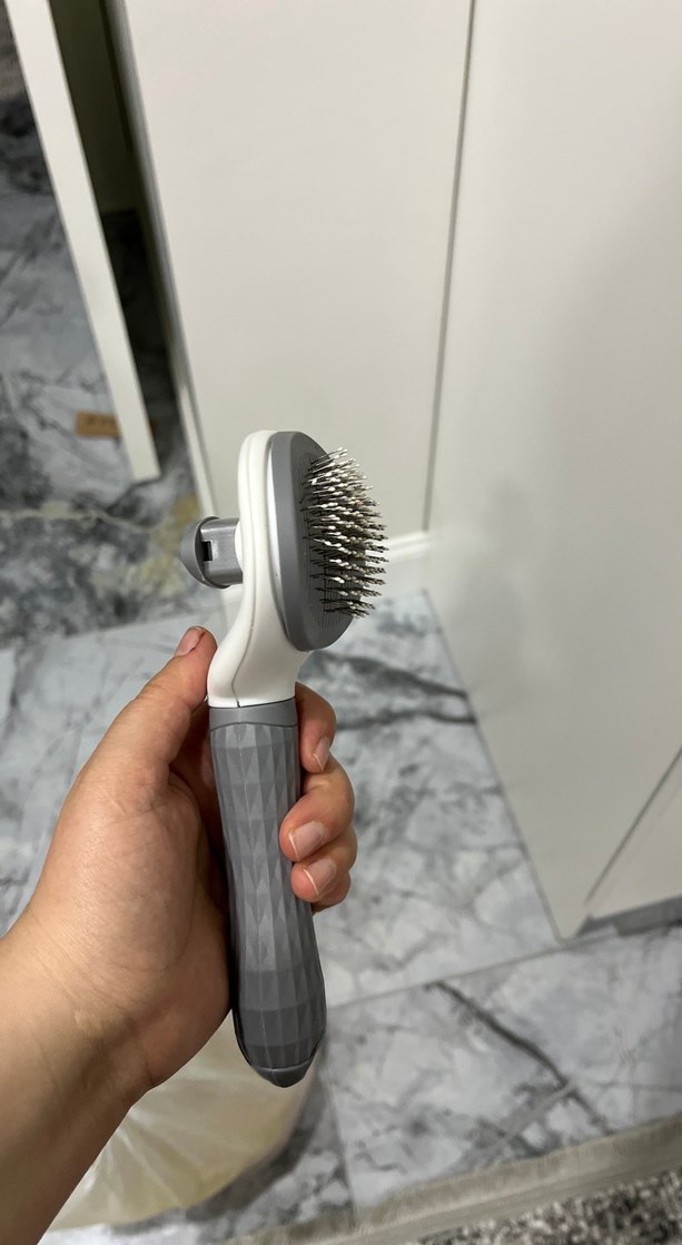 Gri Kedi Tüy Fırçası - Görsel 2