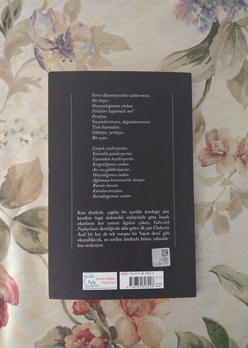 Özdemir Asaf - Yalnızlık Paylaşılmaz Şiir Kitabı - Görsel 3