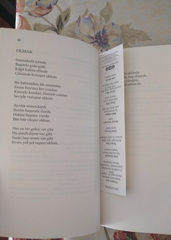 Özdemir Asaf - Yalnızlık Paylaşılmaz Şiir Kitabı - Görsel 2