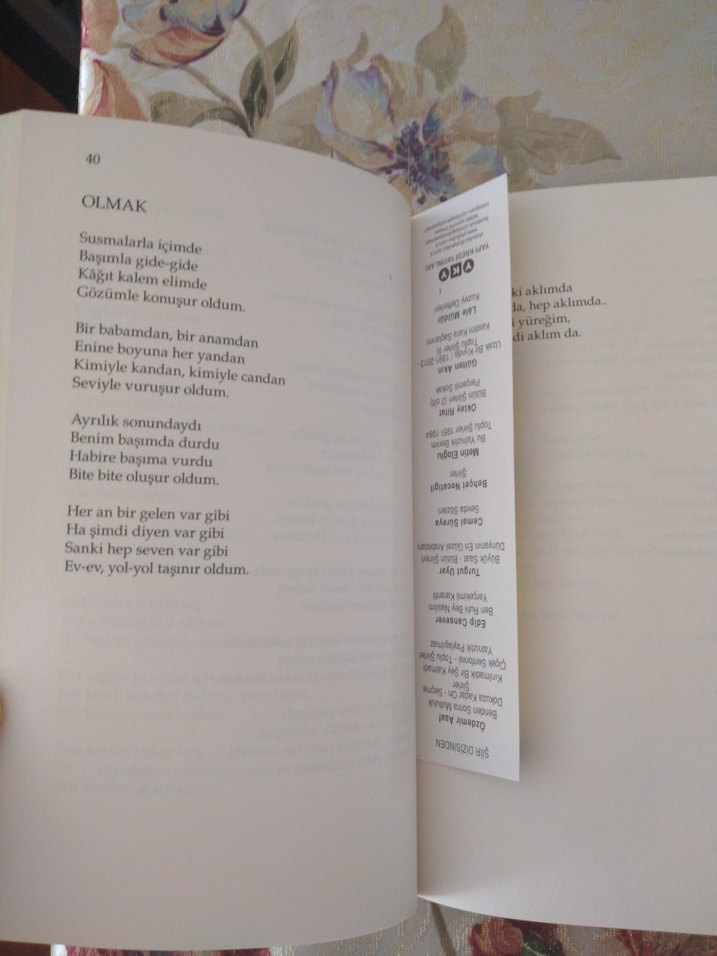 Özdemir Asaf - Yalnızlık Paylaşılmaz Şiir Kitabı - Görsel 2