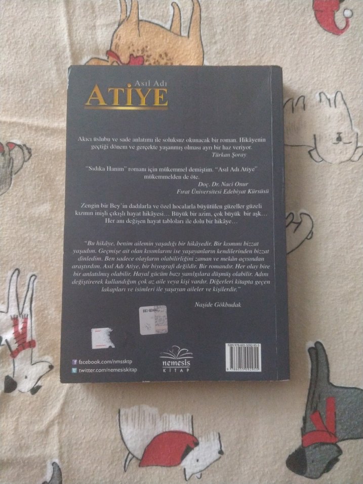 Asıl Adı Atiye - Naşide Gökbudak - Görsel 2