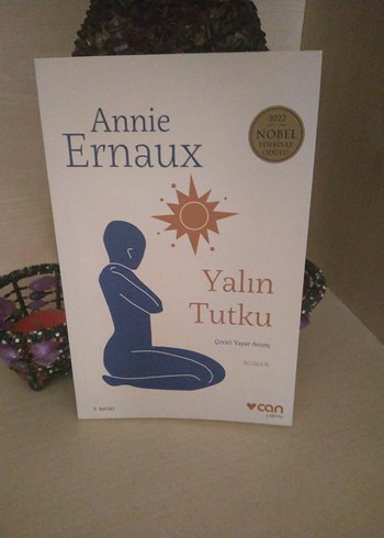 Annie Ernaux - Yalın Tutku Romanı - Görsel 2