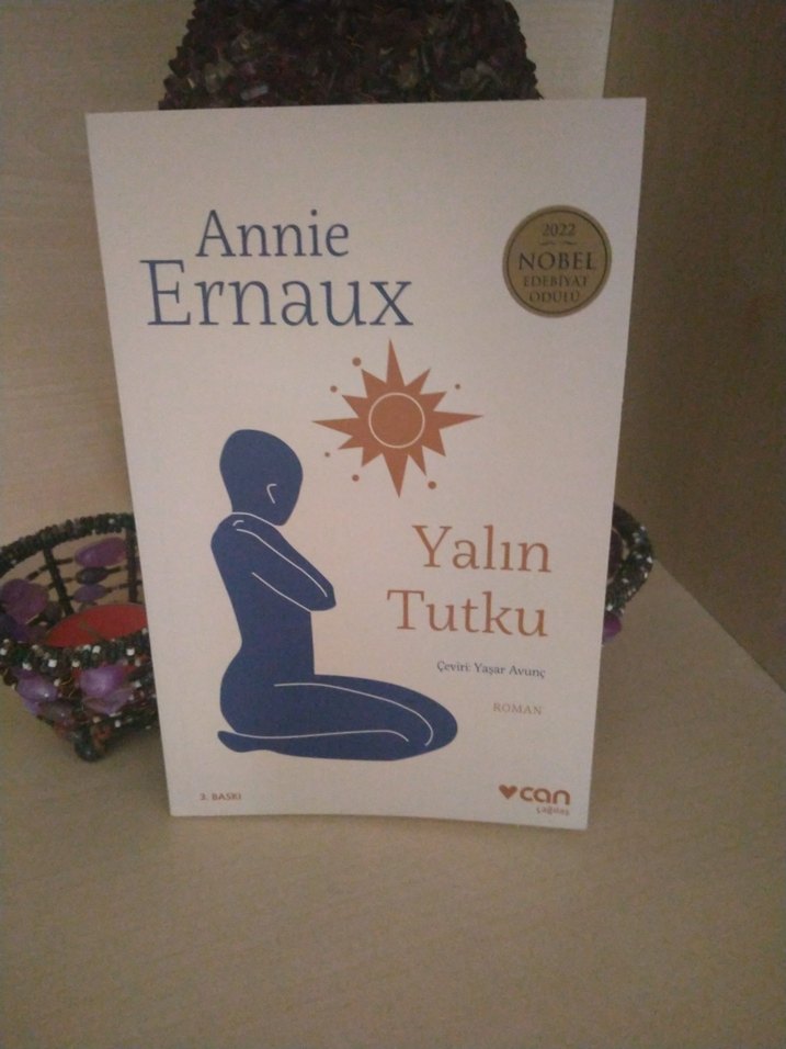 Annie Ernaux - Yalın Tutku Romanı - Görsel 2