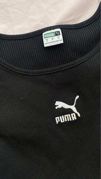 Puma Puma crop